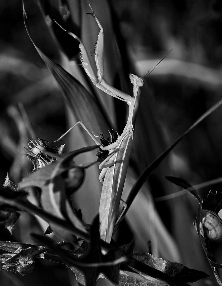 Photograph by Александр