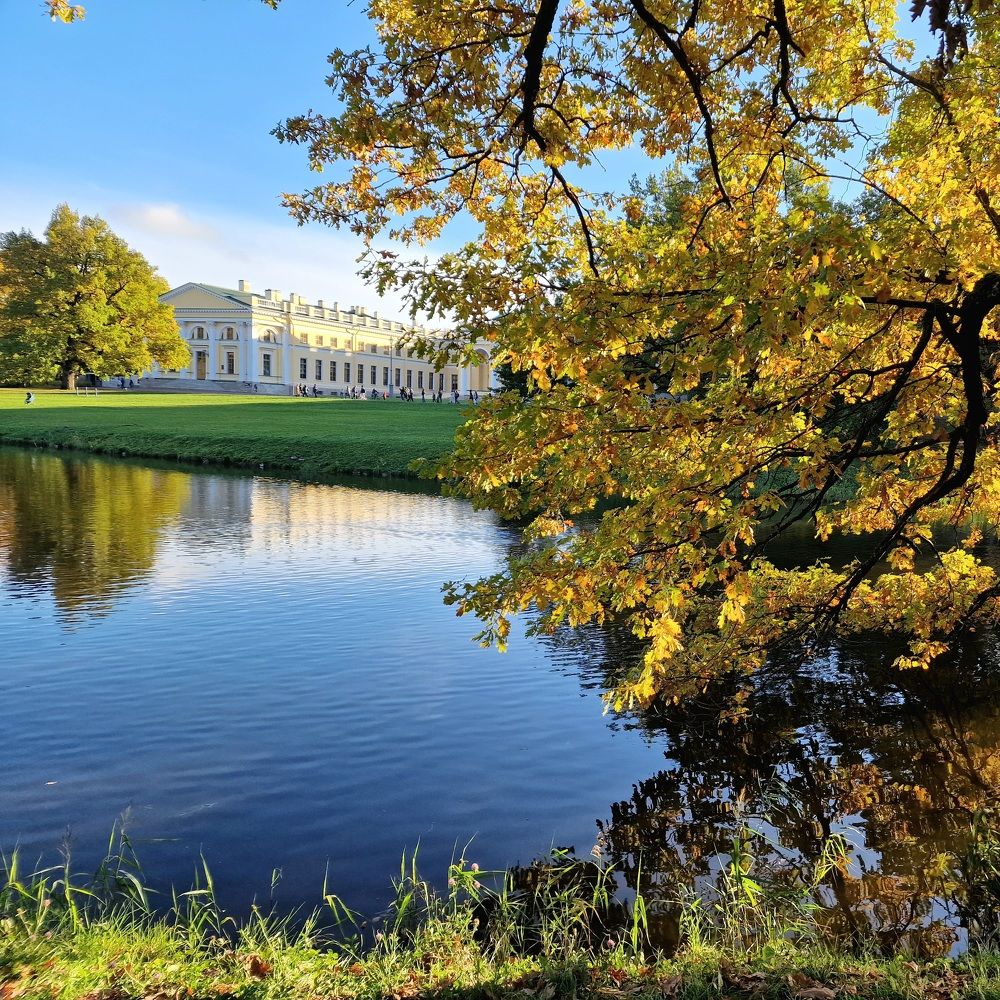 Photograph by Алла Палагнюк