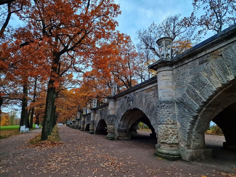 Photograph by Алла Палагнюк