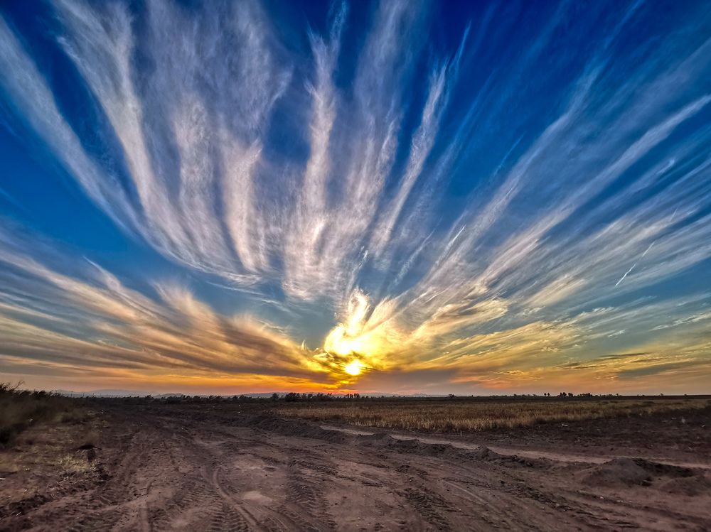 Photograph by Mohamad reza Mohamad abadi