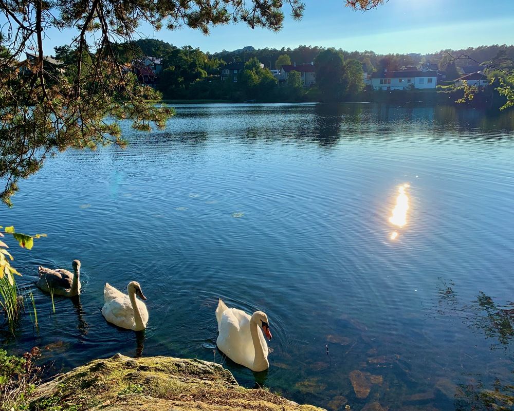 Photograph by Irina Andrienko