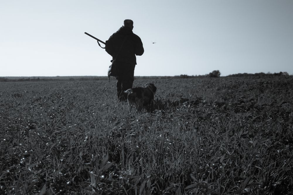 Photograph by Никита Павлов