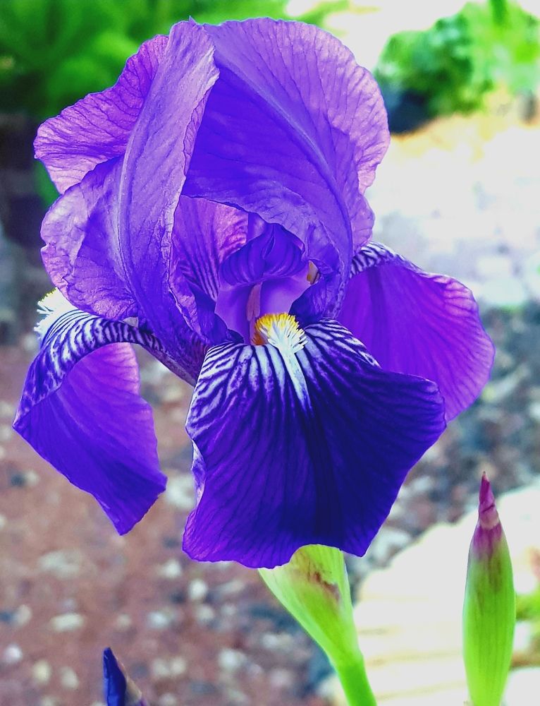 Photograph by Merav Zuberman Perkal