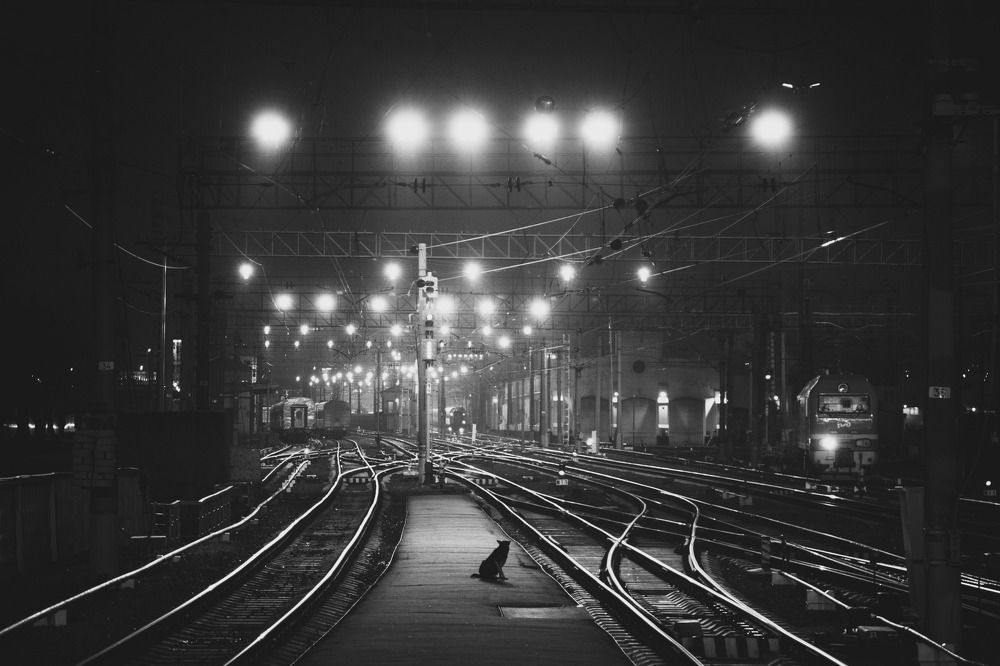 Photograph by Sergei Komlev