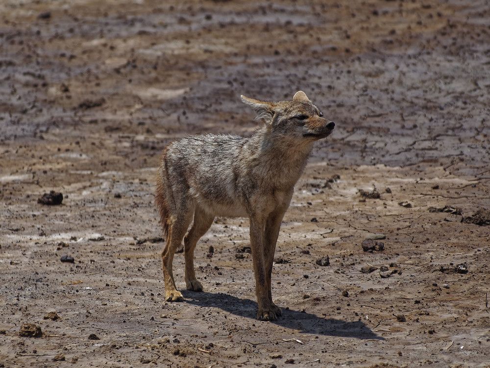 Photograph by Андрей Панин