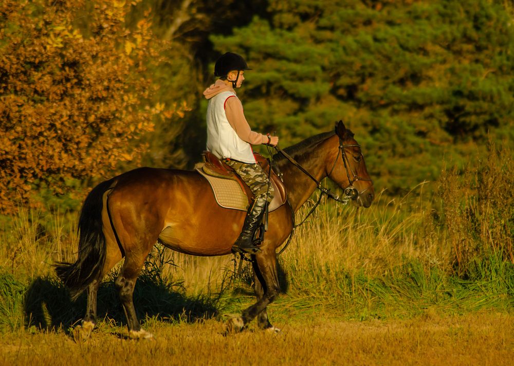 Photograph by Ольга Заповедная