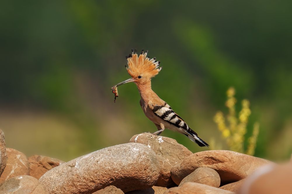 Photograph by Adamov Eddie