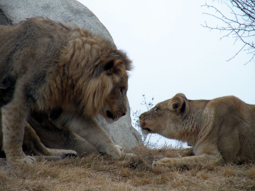 Photograph by Rajeev Sinha