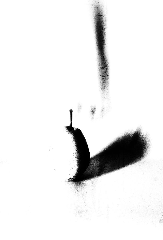 Photograph by Tatiana Kravchuk