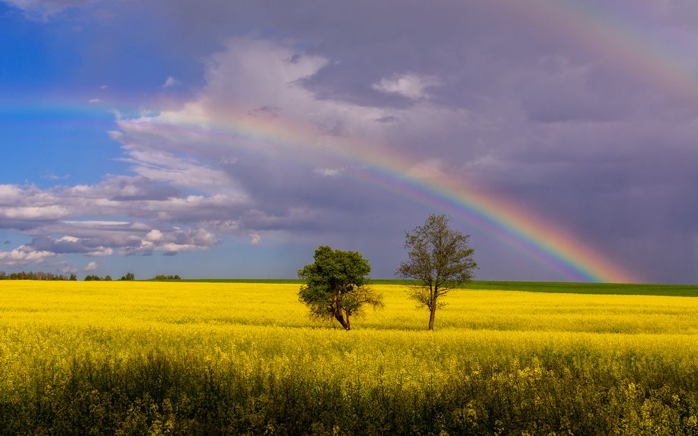 Photograph by Сергей Дишук