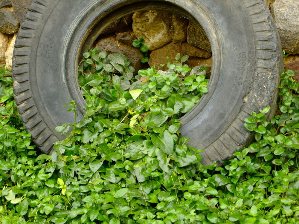 Photograph by Cengiz Yalcin