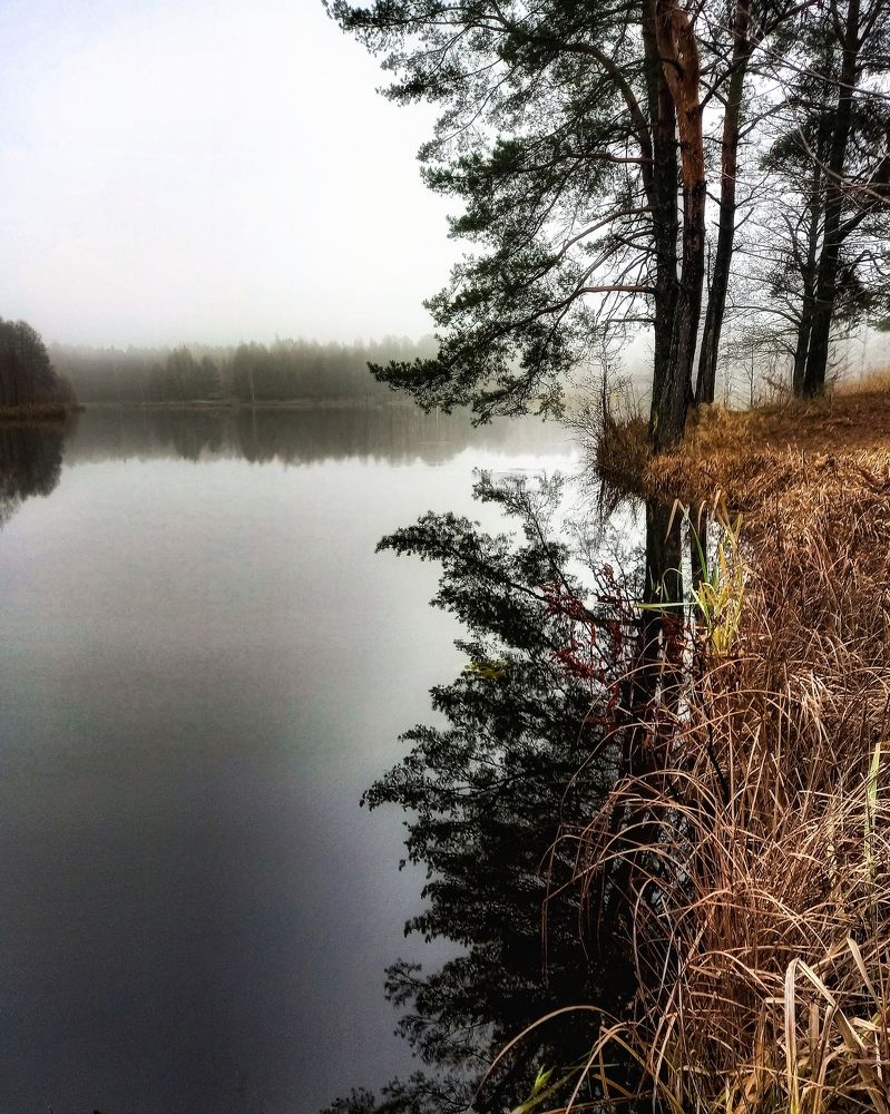 Photograph by Svetlana Yurasova