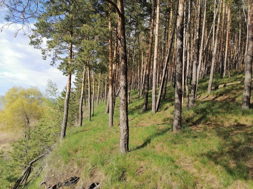 Photograph by Виктория