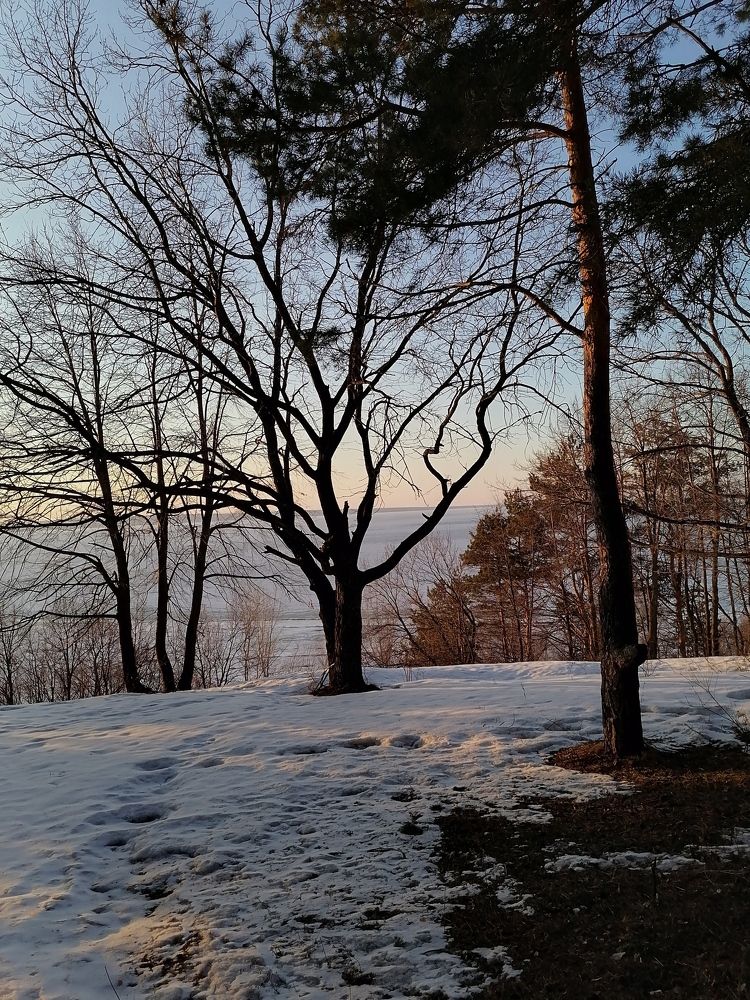 Photograph by Виктория