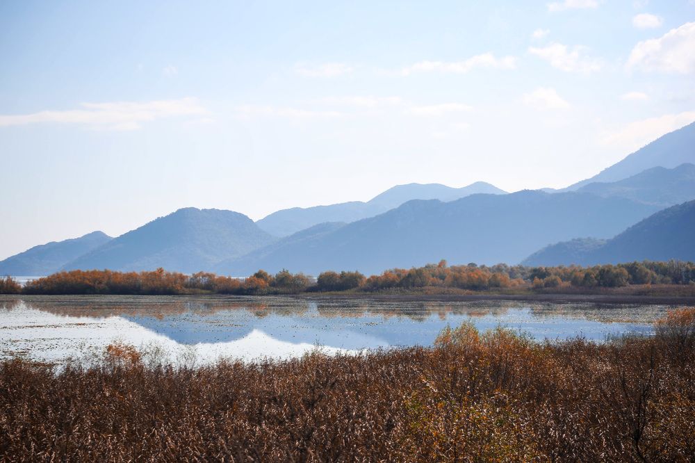 Photograph by Елена Хорошильцева