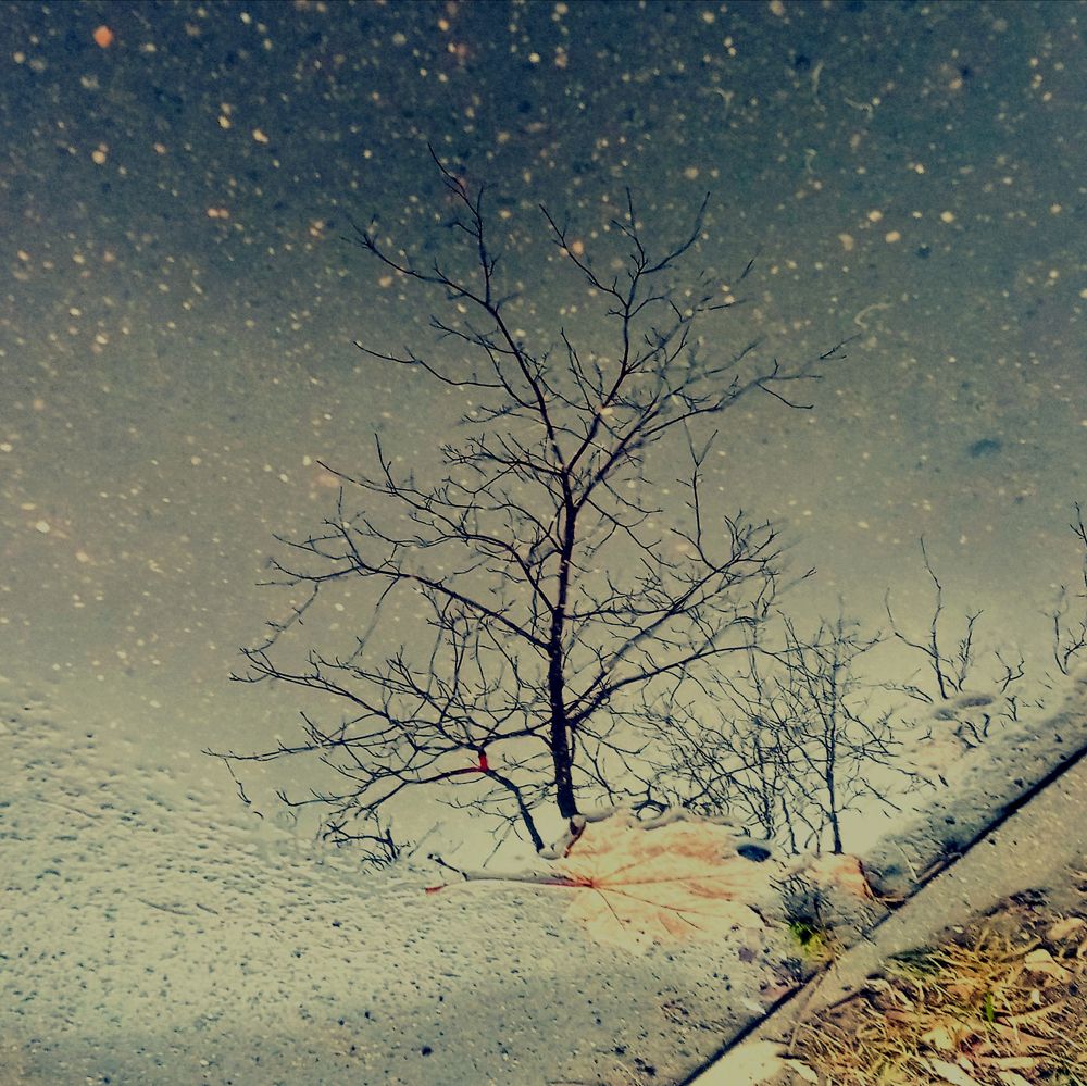 Фотография автора Невмержицкий Валерий