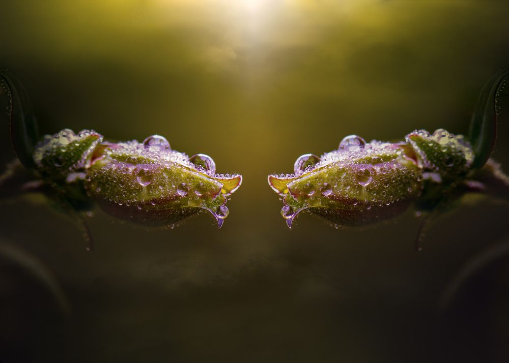 Photograph by Kristina Zvinakeviciute