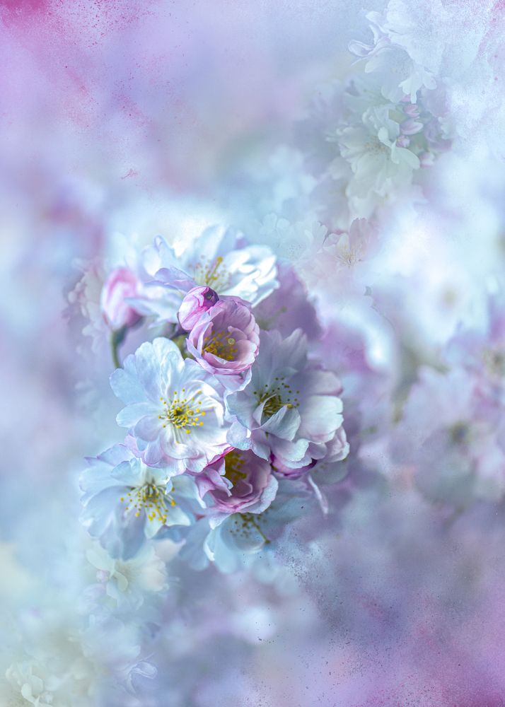 Photograph by Kristina Zvinakeviciute