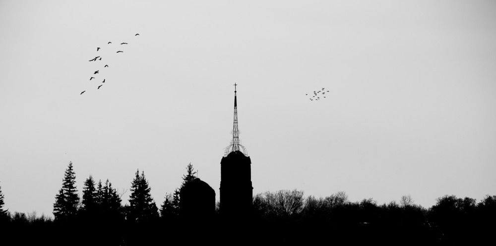 Photograph by Данила Черных