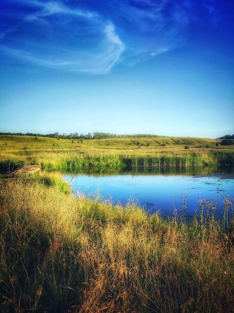 Photograph by Елена Дегтяренко