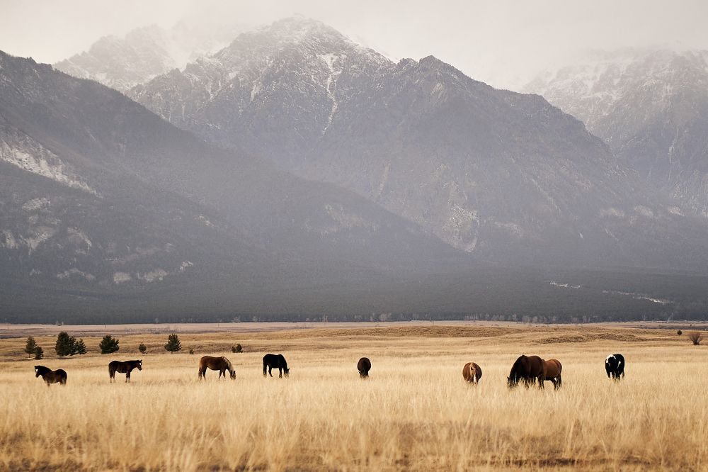 Photograph by Артём Юленков