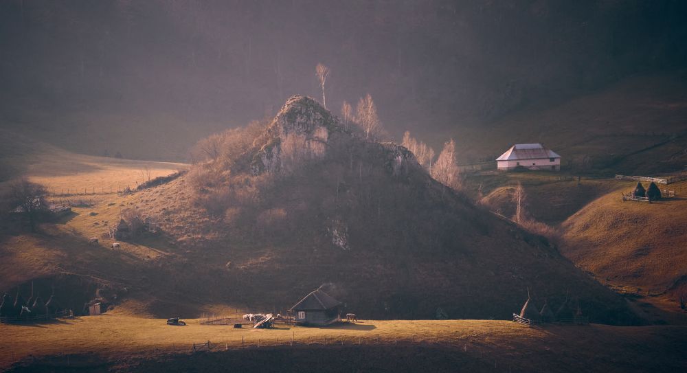 Фотография автора Ceausescu Adriana