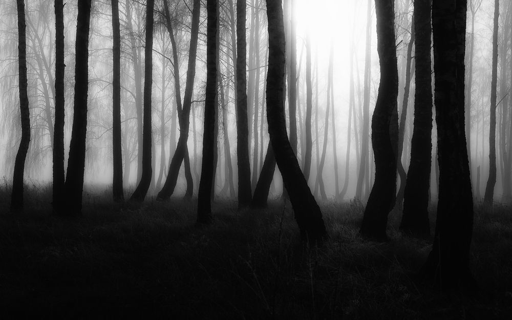 Photograph by Сергей Дишук