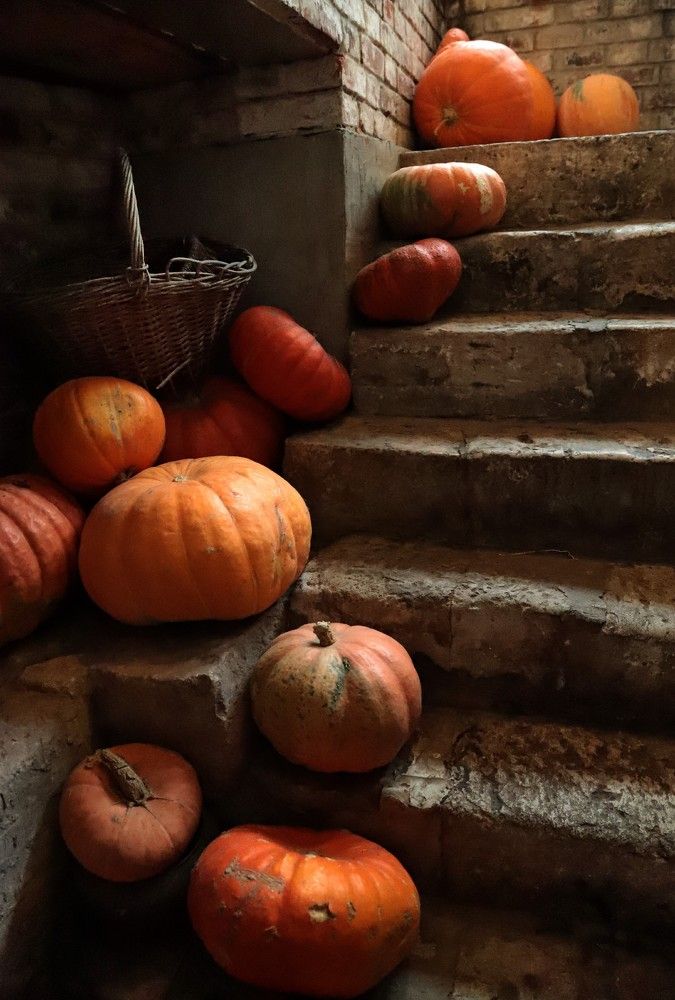 Photograph by Лада Денисова