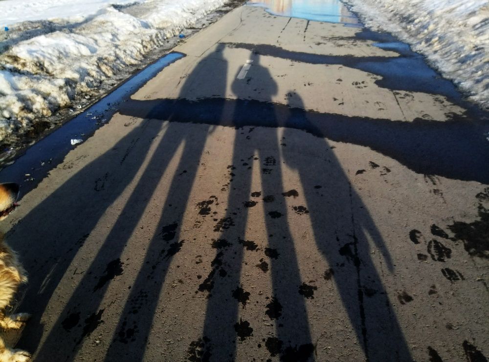 Photograph by Юлия Трап