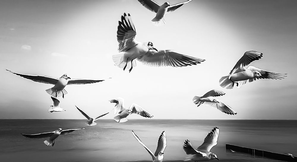 Photograph by Луценко Роман