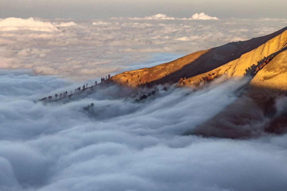 Photograph by Rasoul