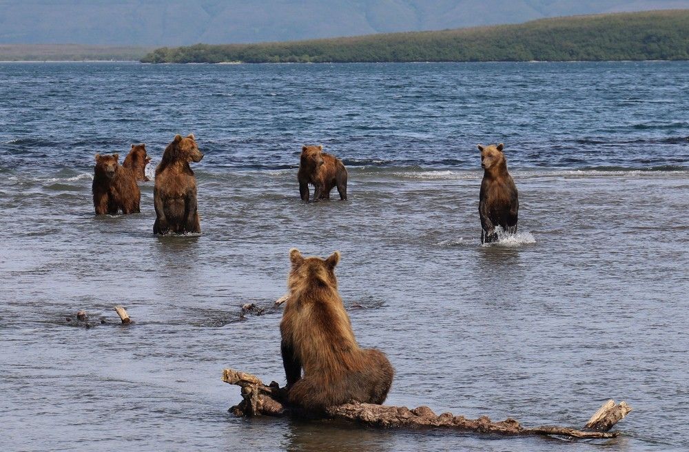 Photograph by Диана Жагрина