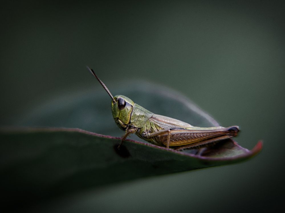 Photograph by Fadeeva Ekaterina