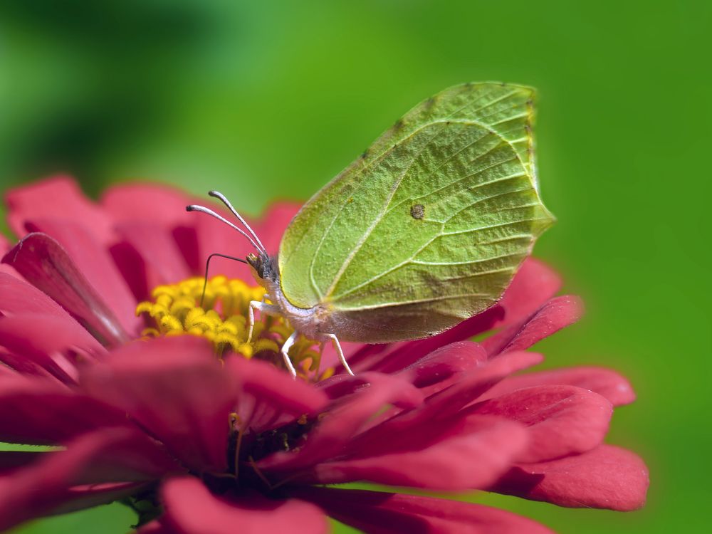 Photograph by Fadeeva Ekaterina