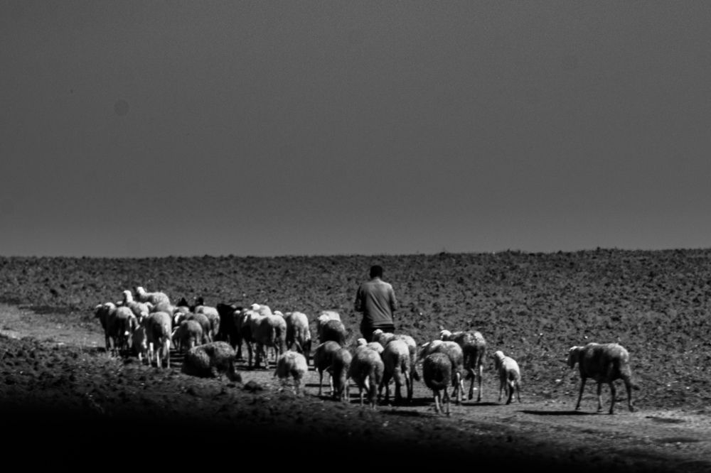 Photograph by Islam Traikia