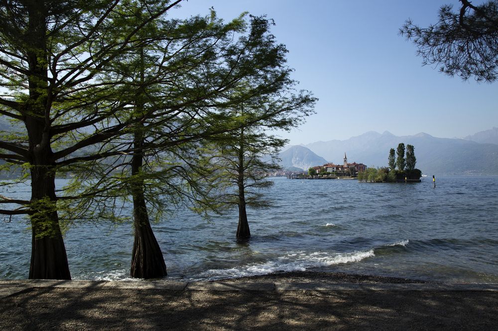 Фотография автора Оксана Мерзликина