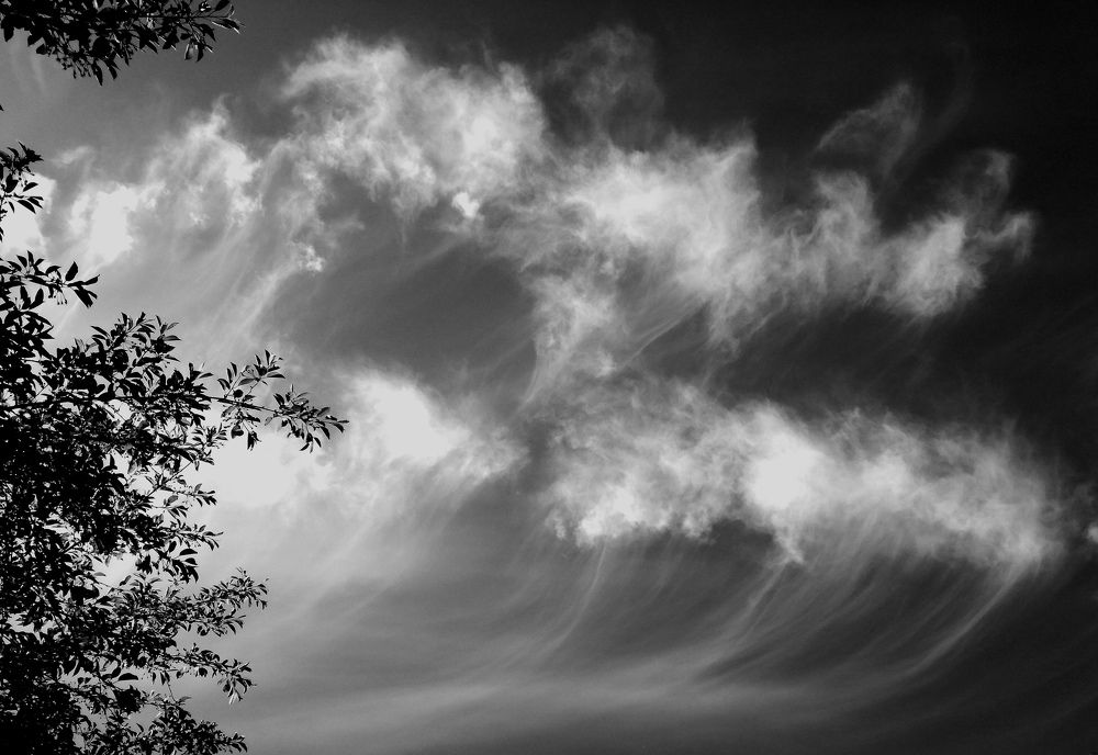 Photograph by Palina Mikhailouskaya