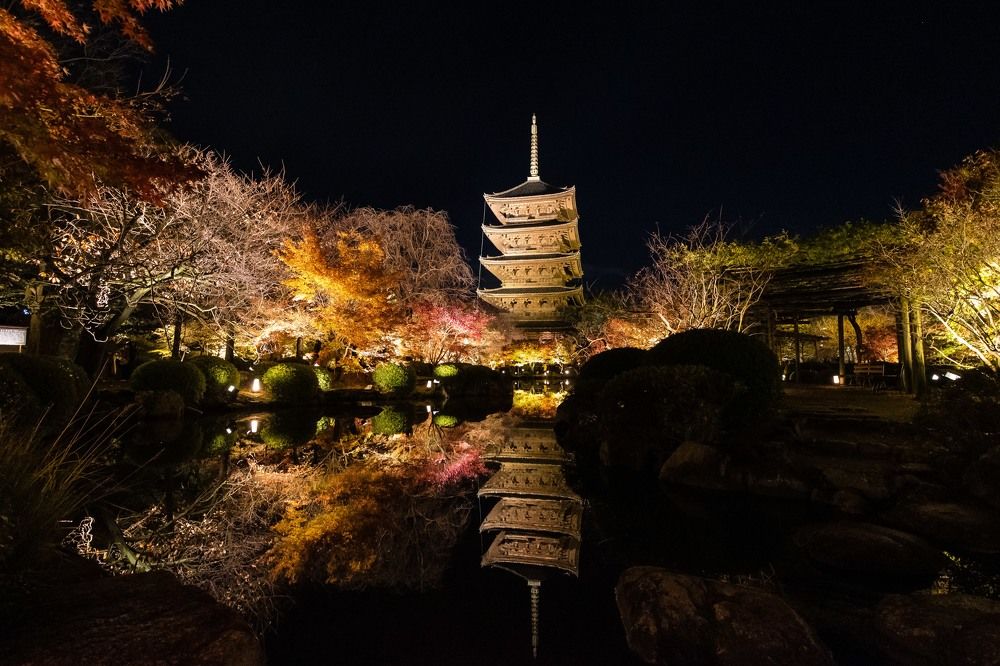 Photograph by Junya Higashi