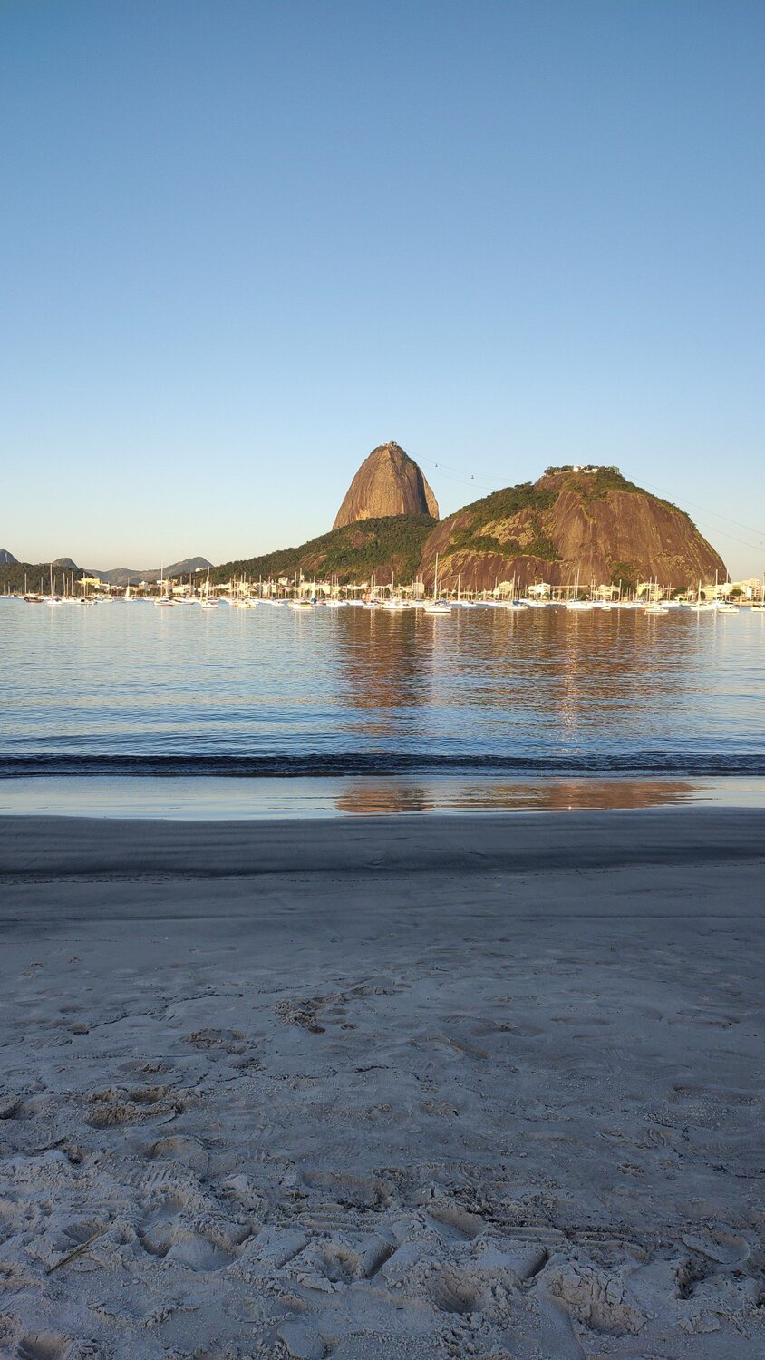 Photo #8433161