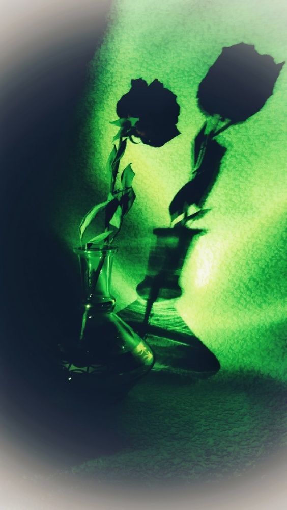 Photograph by Ирина Алпацкая