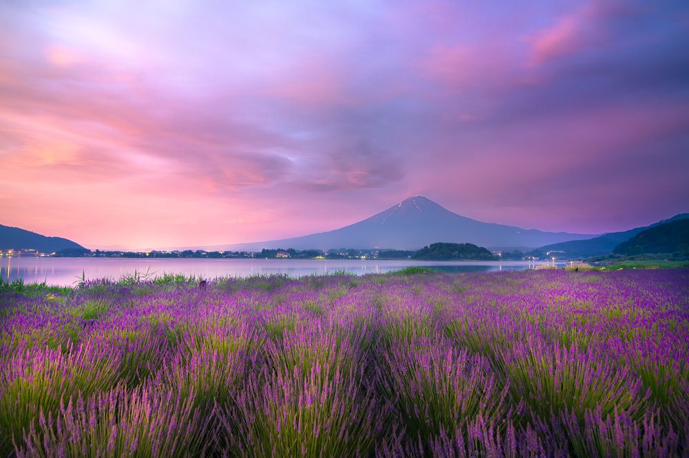 Фотография автора tran luong quyen