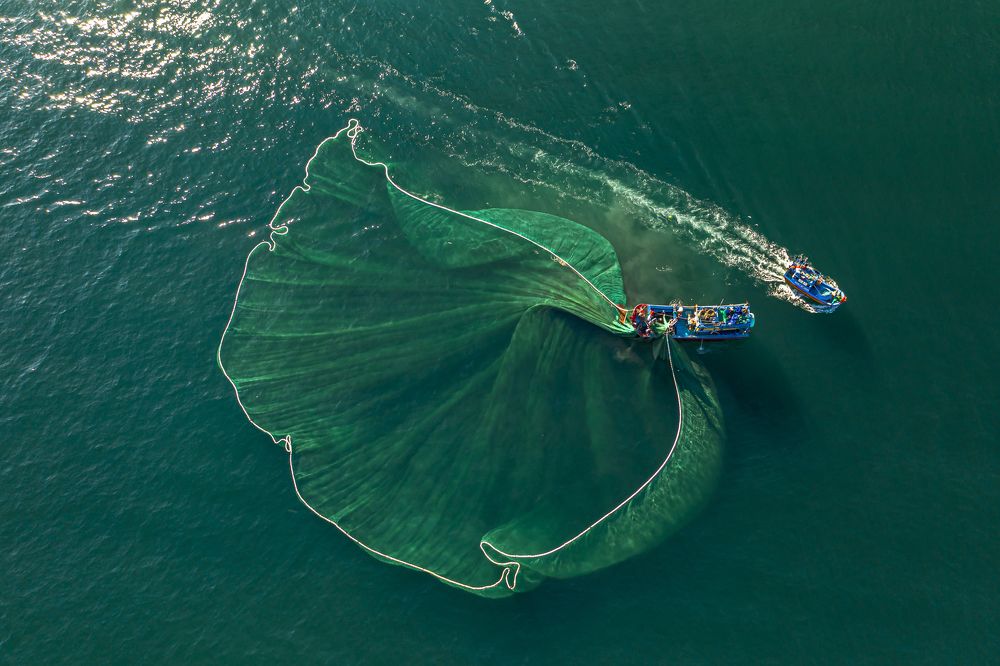 Фотография автора Sơn nguyễn ngọc