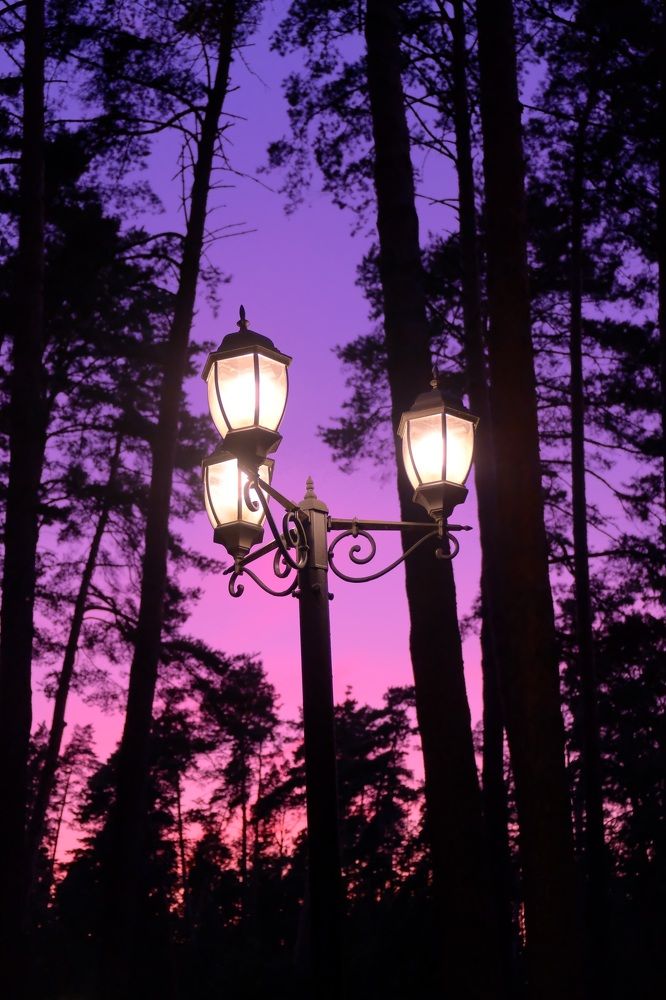 Photograph by Марина Душевина