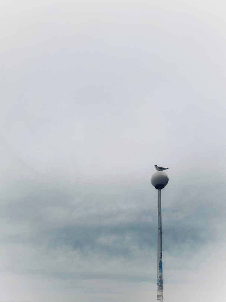 Photograph by Александра Кузнецова