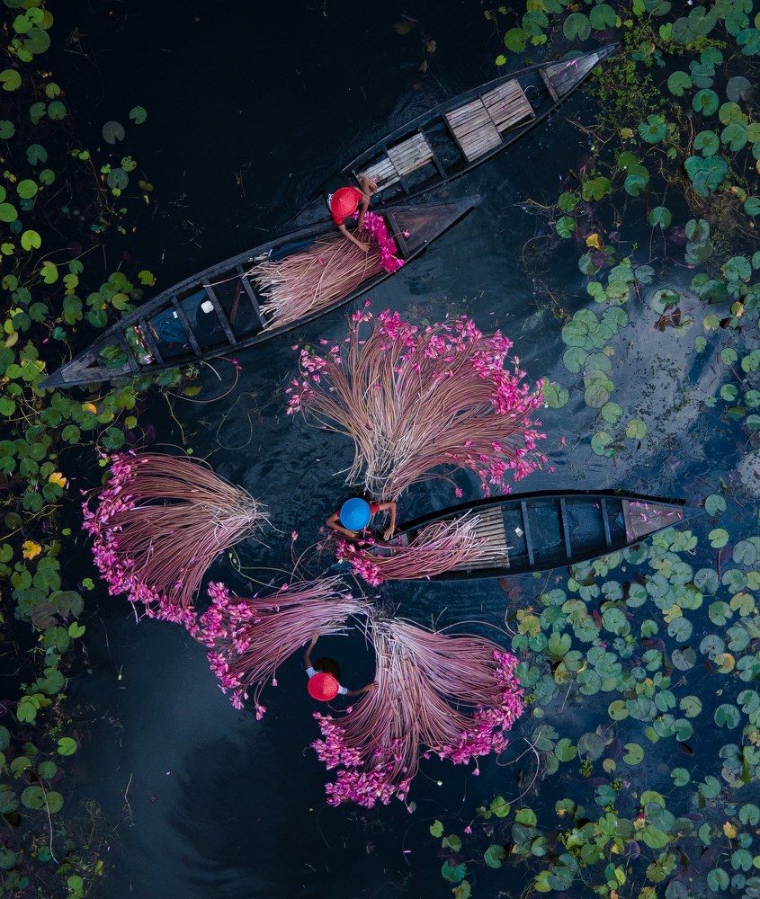 Photograph by Tamim E Mohamad Genius