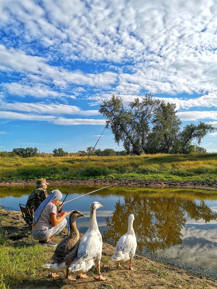 Photograph by Наталья Горбачева