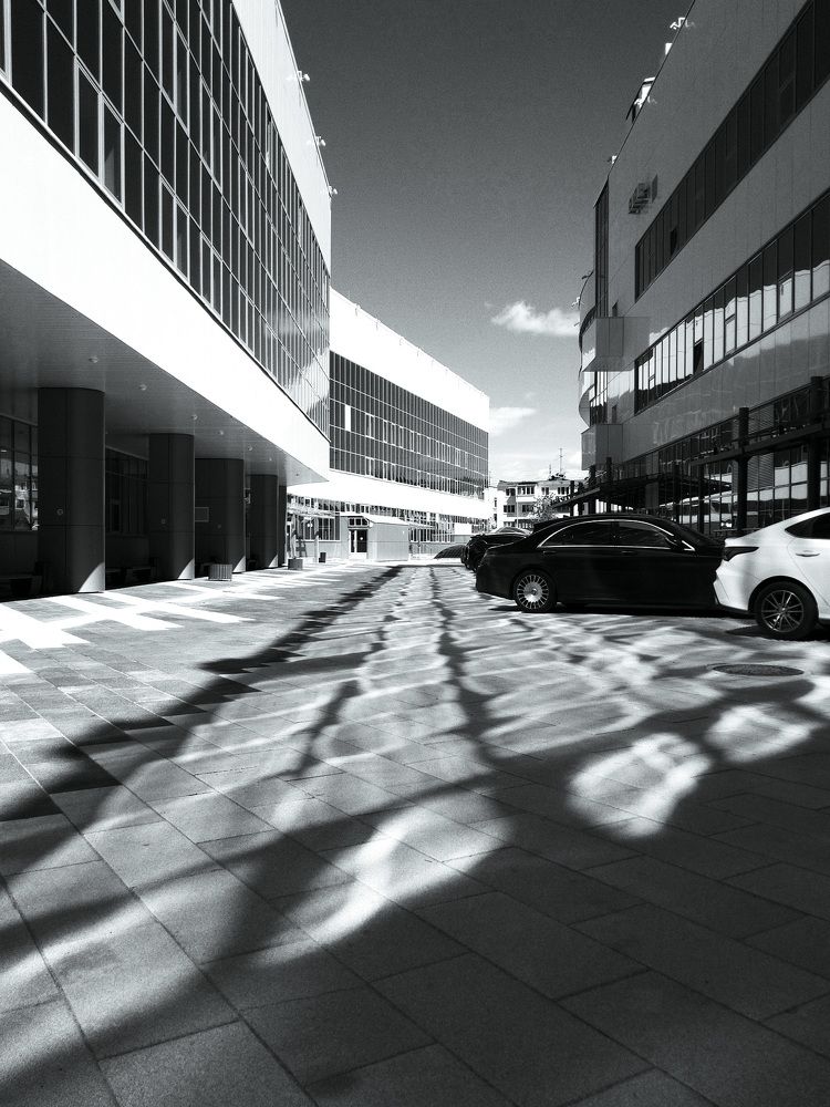 Photograph by Роман Новиков