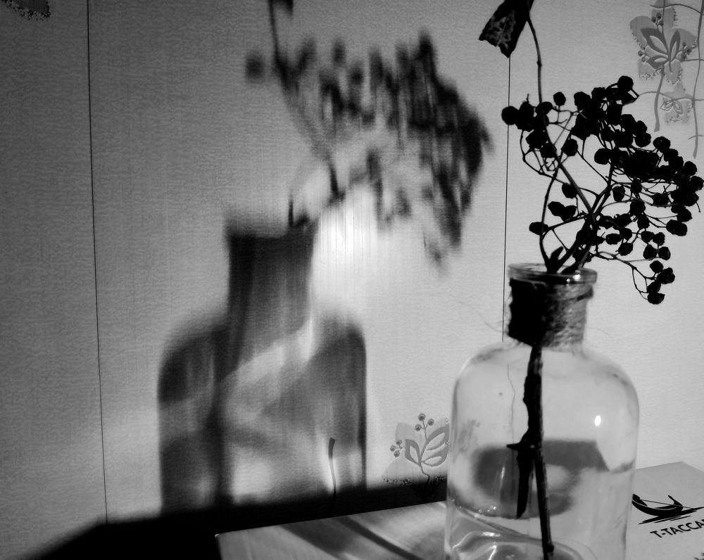 Photograph by 