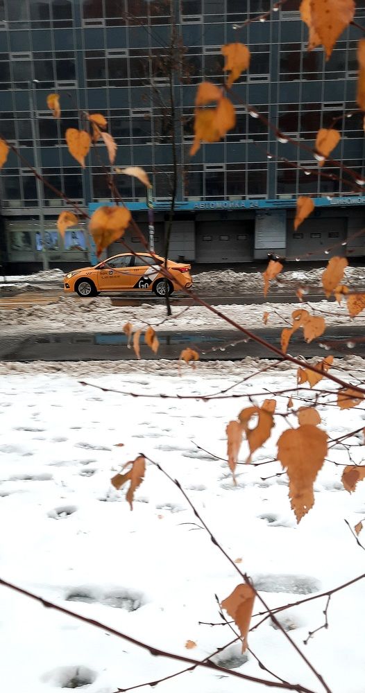 Цвет движения