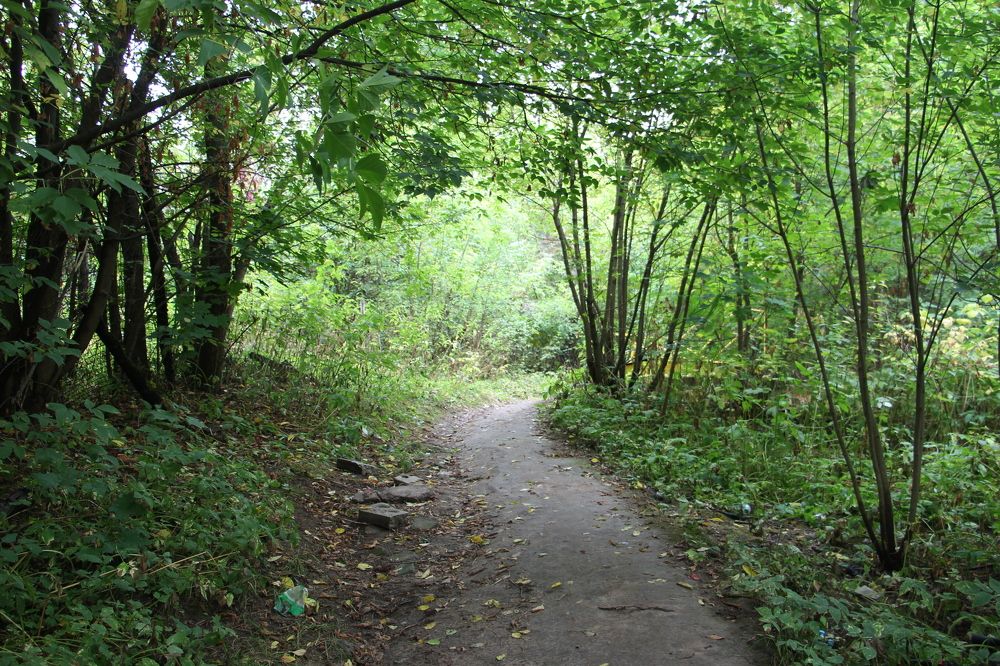 Фотография автора Виталий Дузь